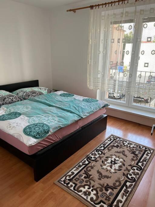 Apartment V Centre Mesta *